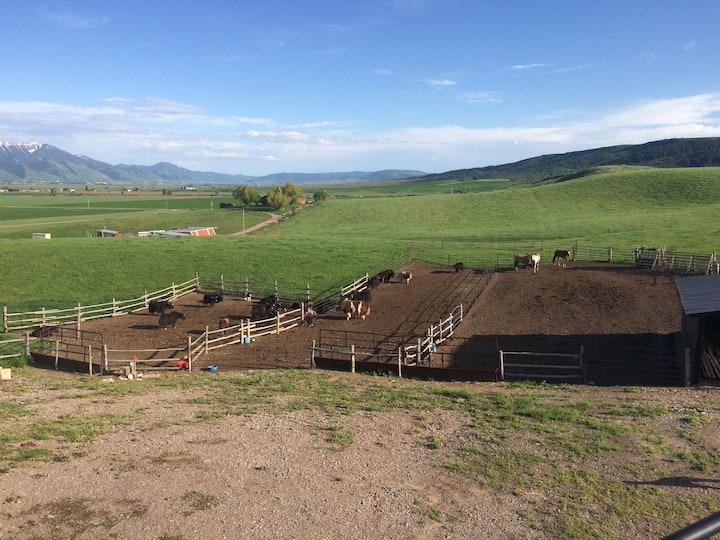 Top 10 Ranches To Stay In Wyoming, USA Updated 2024 Trip101