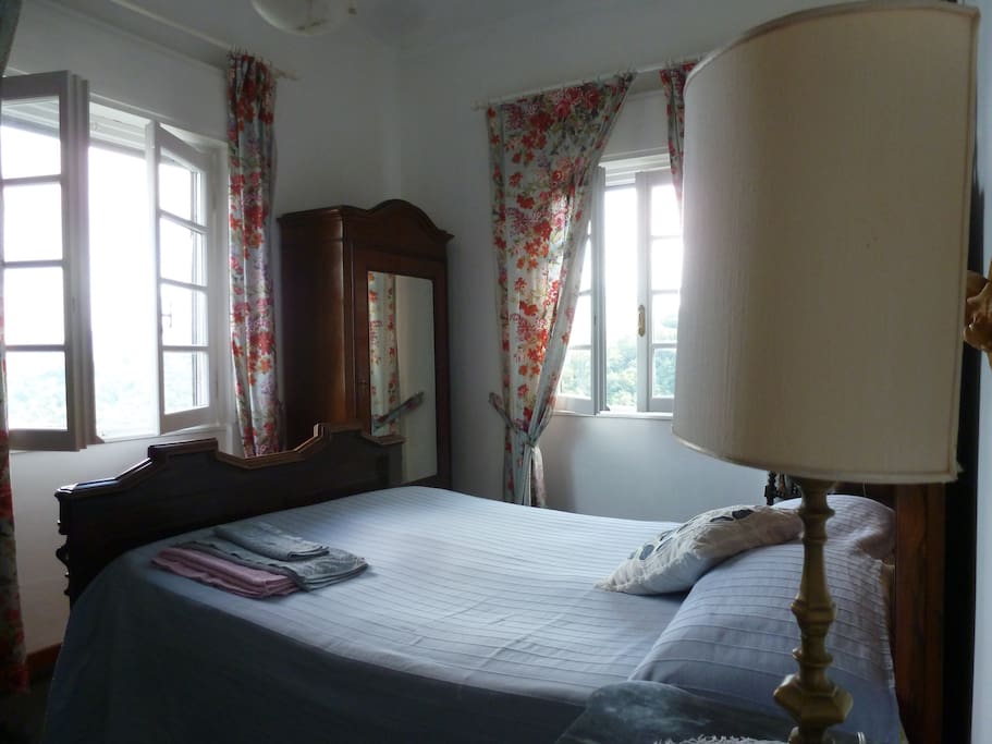 Blue flowers bedroom, two windows