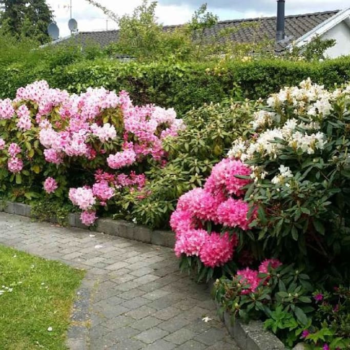 Haveindgang