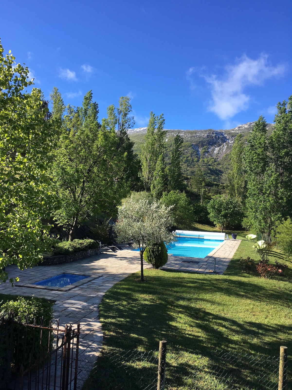 The outdoor area features a large shared swimming pool surrounded by lush greenery and trees. A smaller pool is located nearby, with a stone pathway leading to both. The scenic mountain view in the background enhances the serene atmosphere.