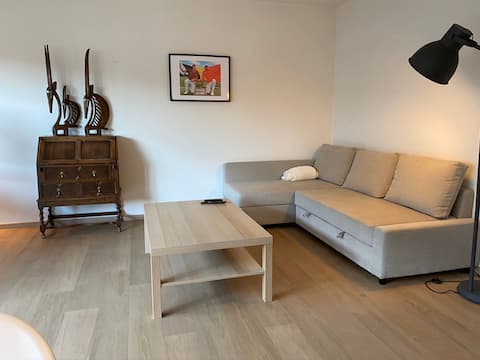 Successful Airbnb property: Apartment (fully renovated) best location 1 in Hasselt