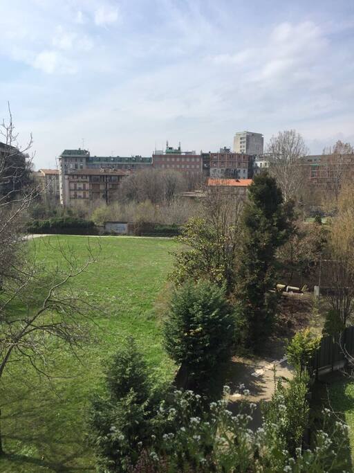 View from the house
