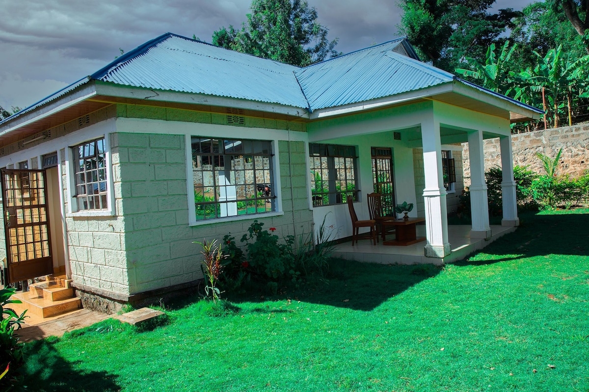 A single-story house is presented, featuring a blue metal roof and a covered porch with wooden seating. Large windows allow natural light to fill the interior. Lush greenery surrounds the property, enhancing the peaceful outdoor environment.