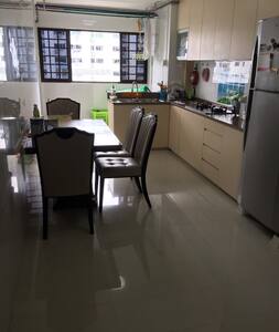 singapore rentals airbnb