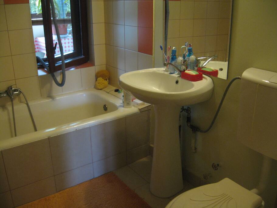 The bathroom to share