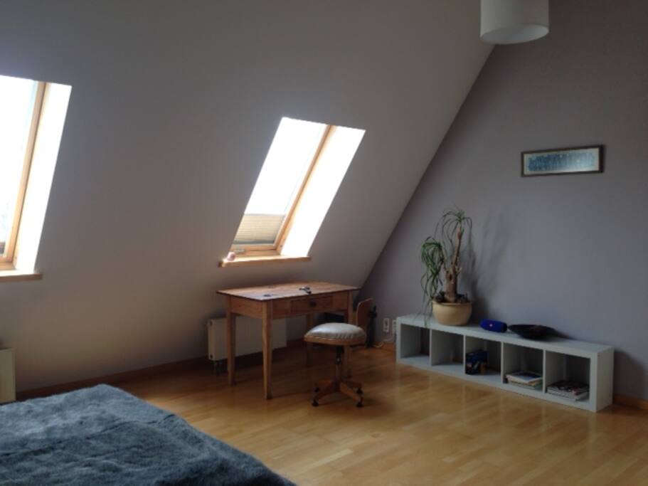 The room, 25 qm