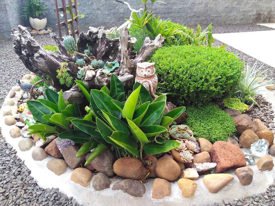 Jardim com espaço para animais de estimação