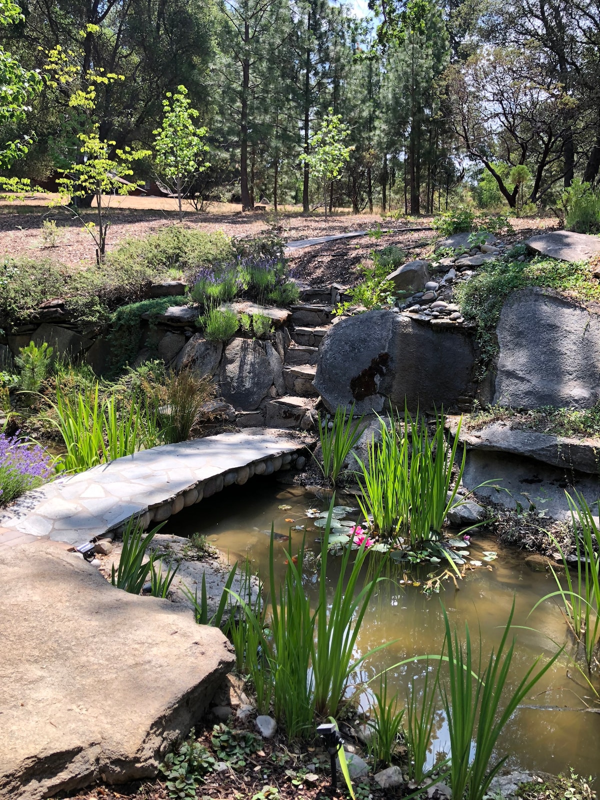 A stone bridge arches over a koi pond, surrounded by lush greenery and native plants. The tranquil water reflects the vibrant colors of the flowers and the dappled sunlight filtering through the trees overhead.