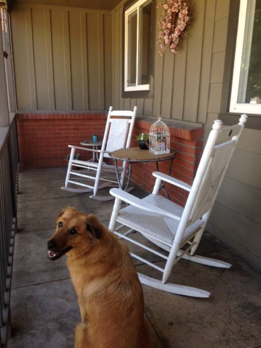 Front porch with pooch