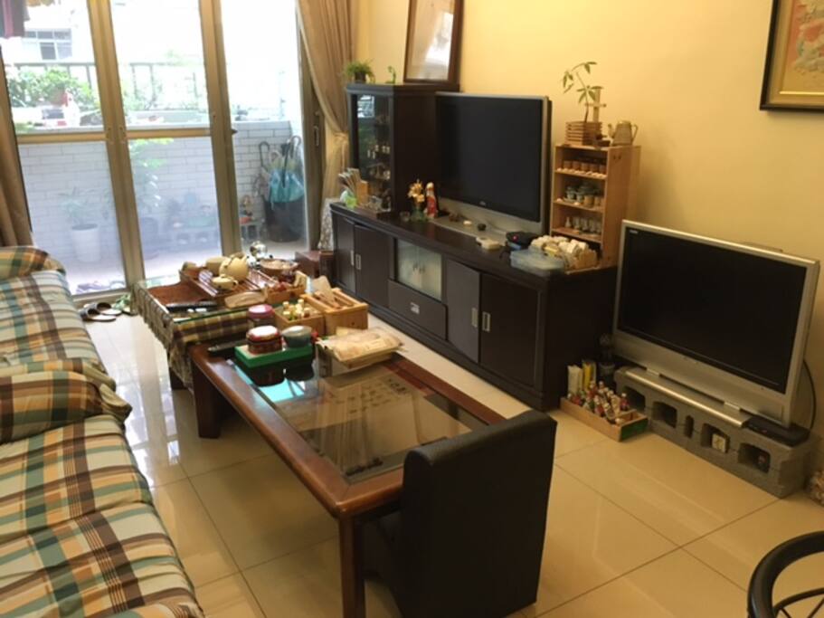 the living room
