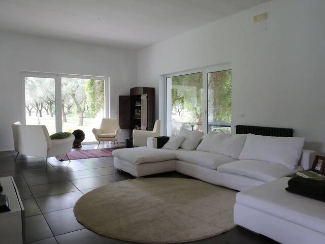 Moderna villa di lusso circondata dagli ulivi gallery image 2