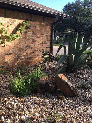 One Story Morning Glory gallery image 3