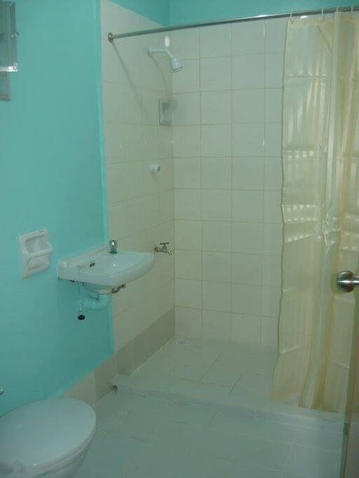 toilet and shower