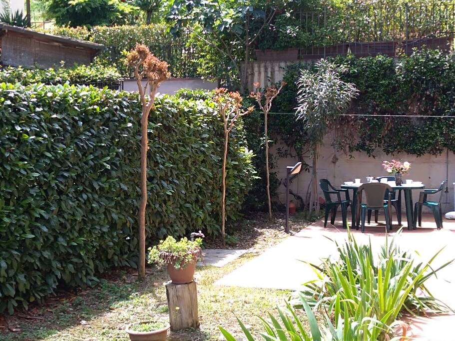 the garden
