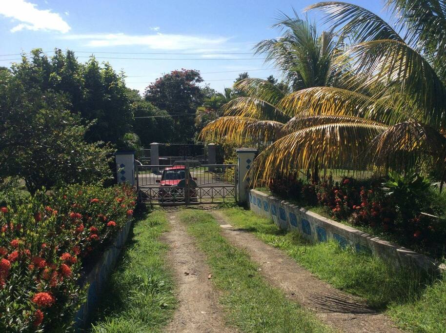 Entrance to the property