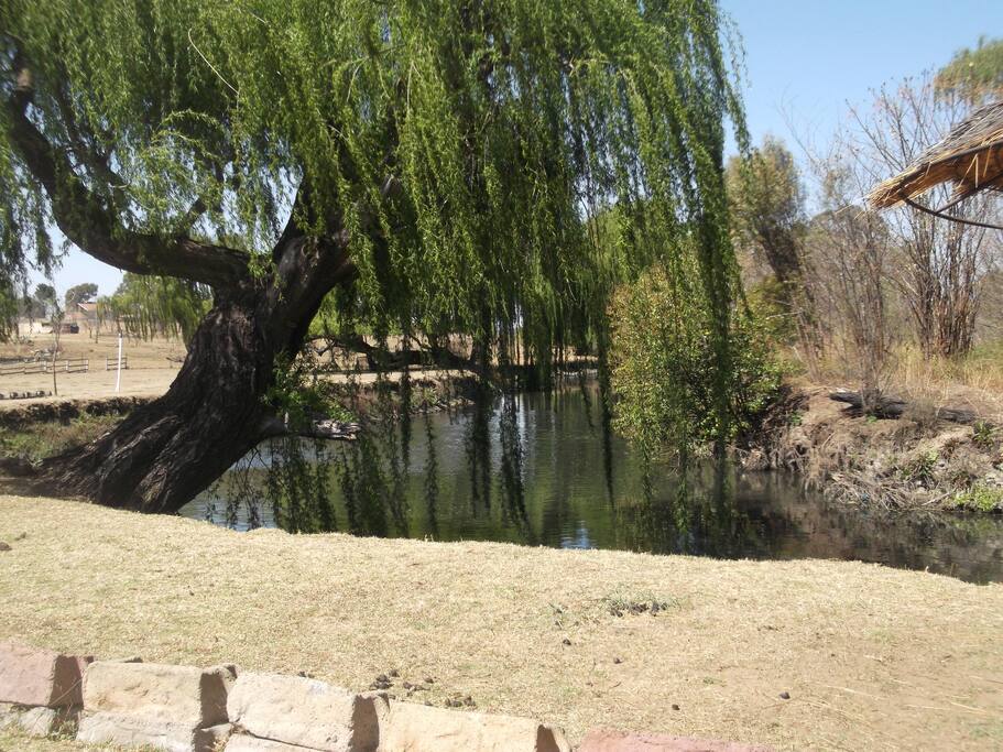 1 km river front
