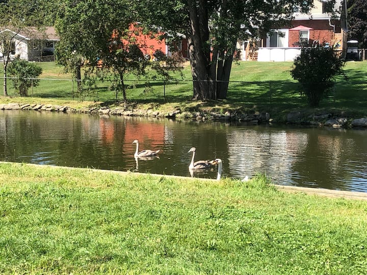 Sombra Vacation Rentals & Homes Ontario, Canada Airbnb