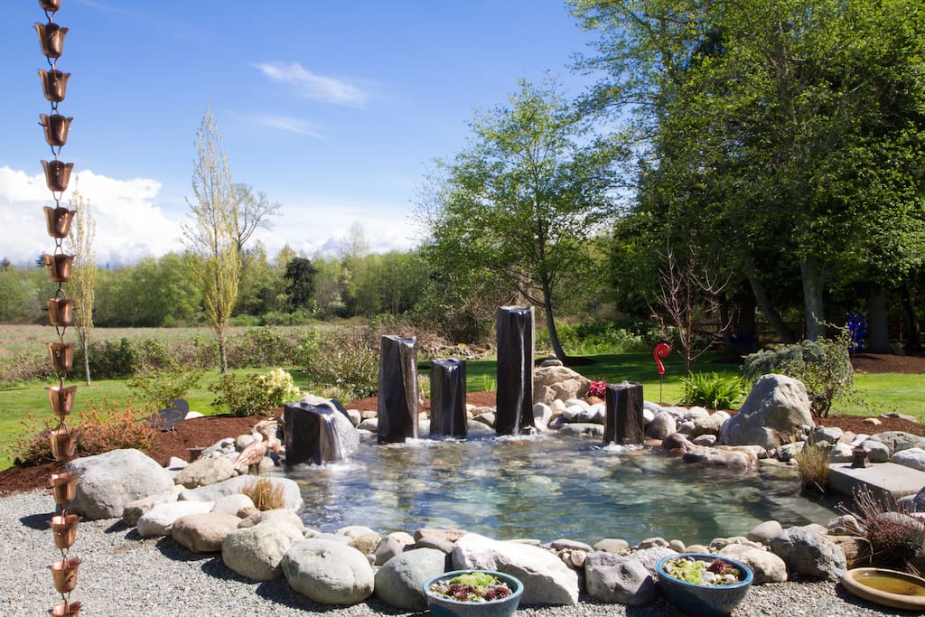 Water feature and adjacent grazing field from patio.