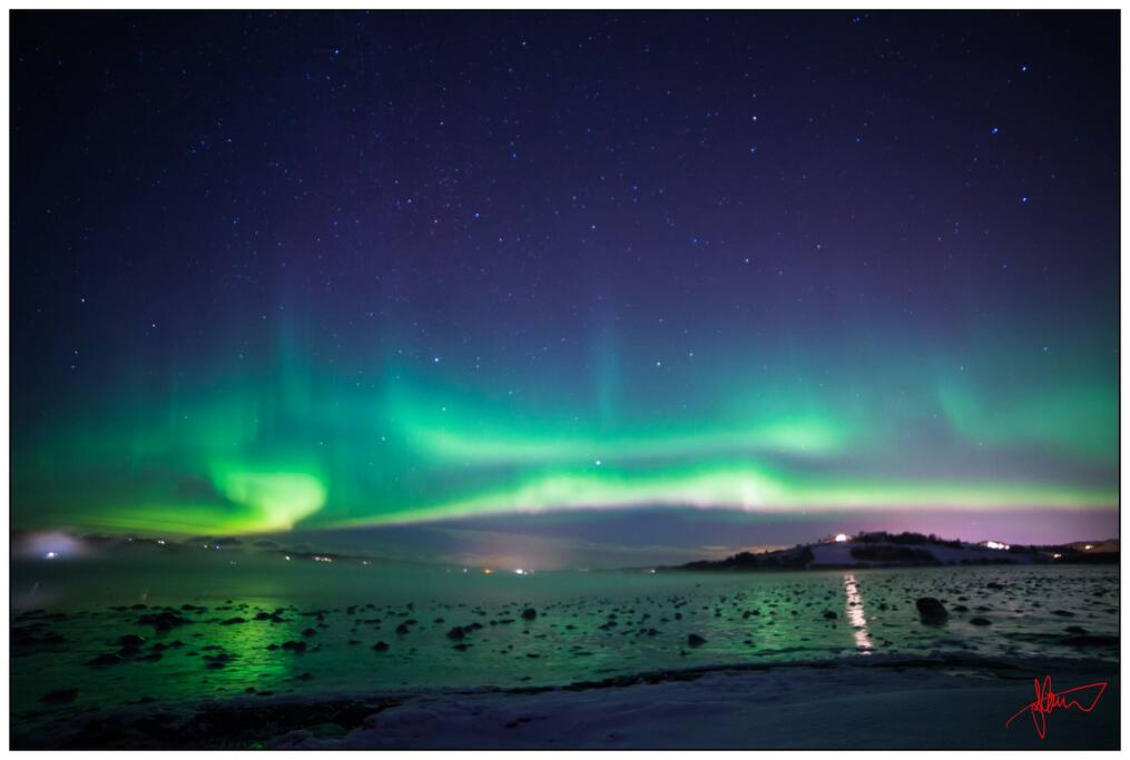 Aurora borealis (northern lights) seen from the farm (picture by our danish guests, january 2017)