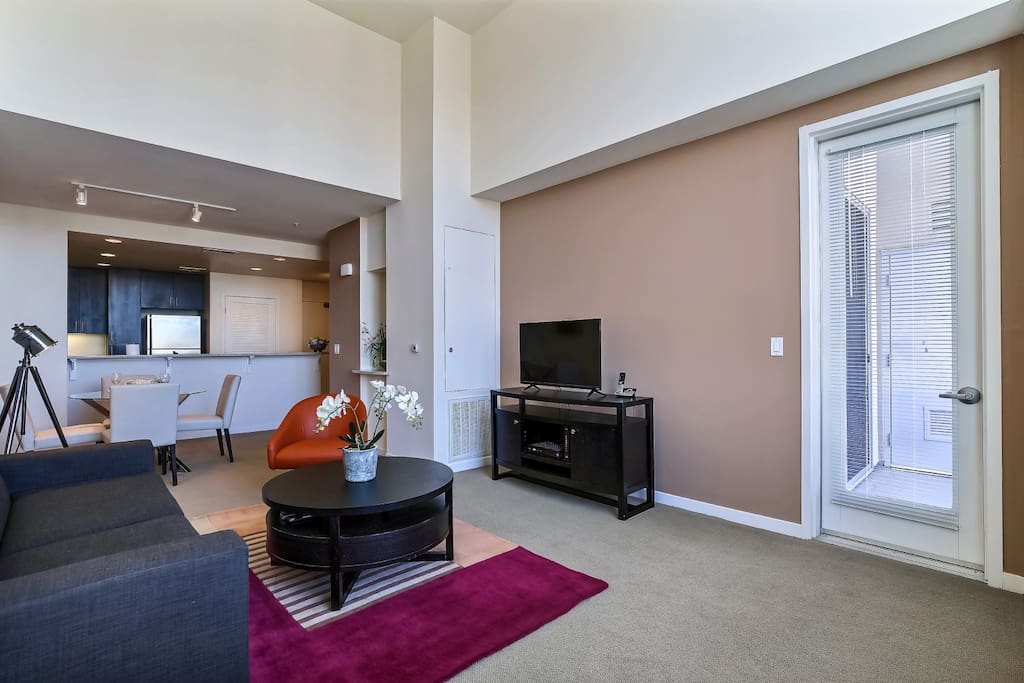 Media area, comfortable sleeper sofa and attached balcony