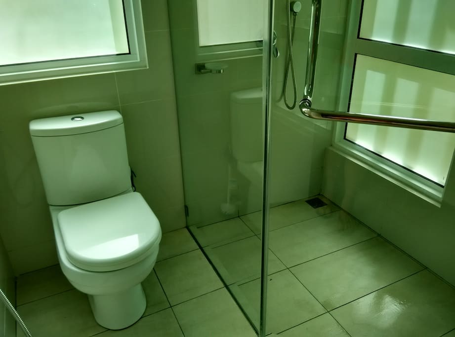 Attached toilet and shower