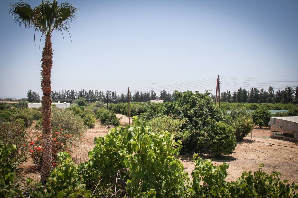 View from the shared balcony