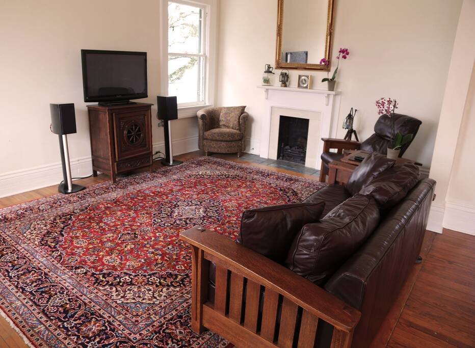 Living Room with pullout couch