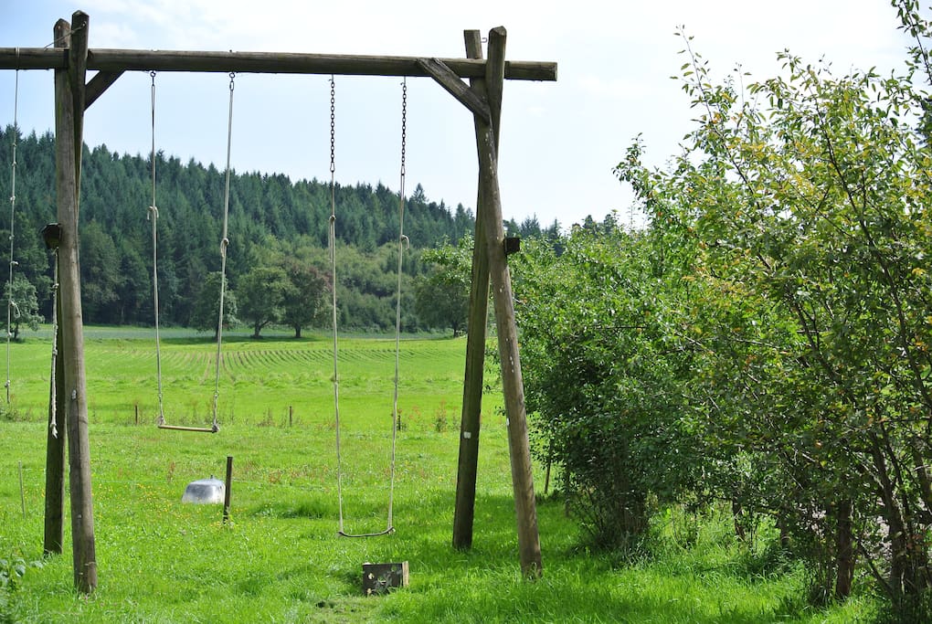 Die große Schaukel - direkt neben an...