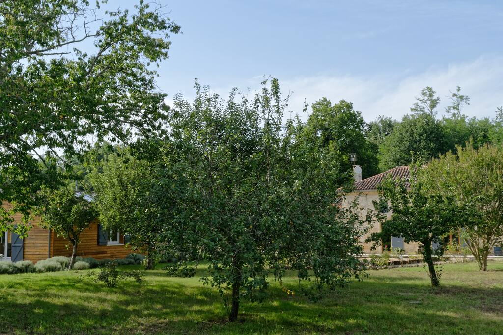 Gîte (à gauche) et maison des hôtes (à droite), vus des arbres fruitiers.
