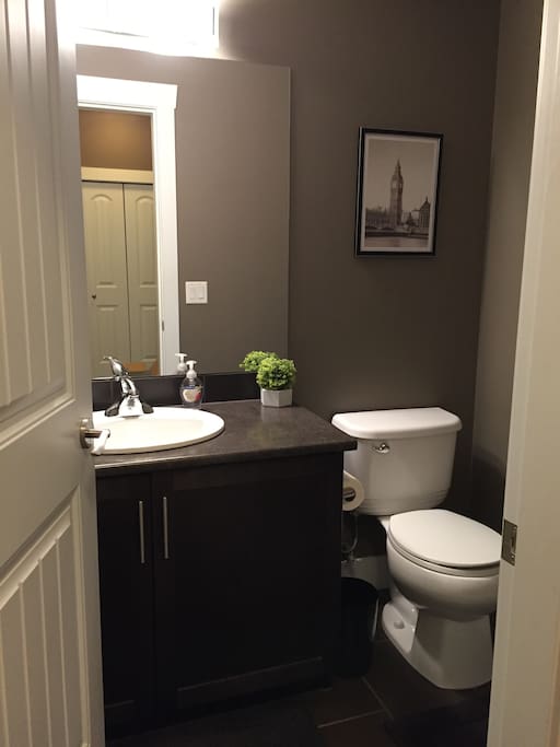 Lower level 1/2 Bath