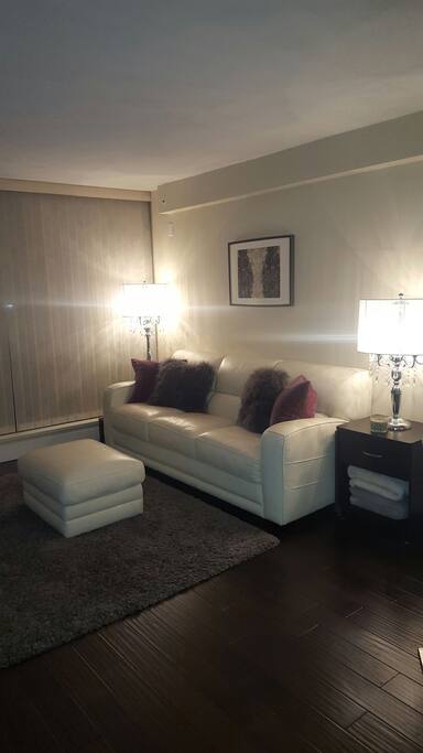 Genuine leather, La-z-boy, couch and dimmer switch lighting