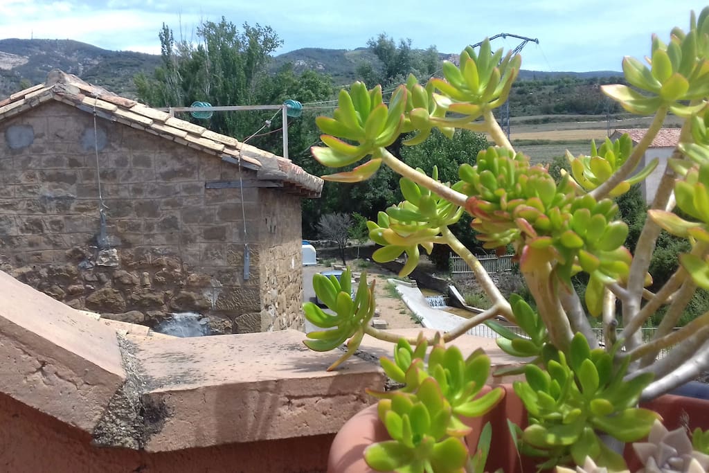 Desde la terraza se ve el castillo
