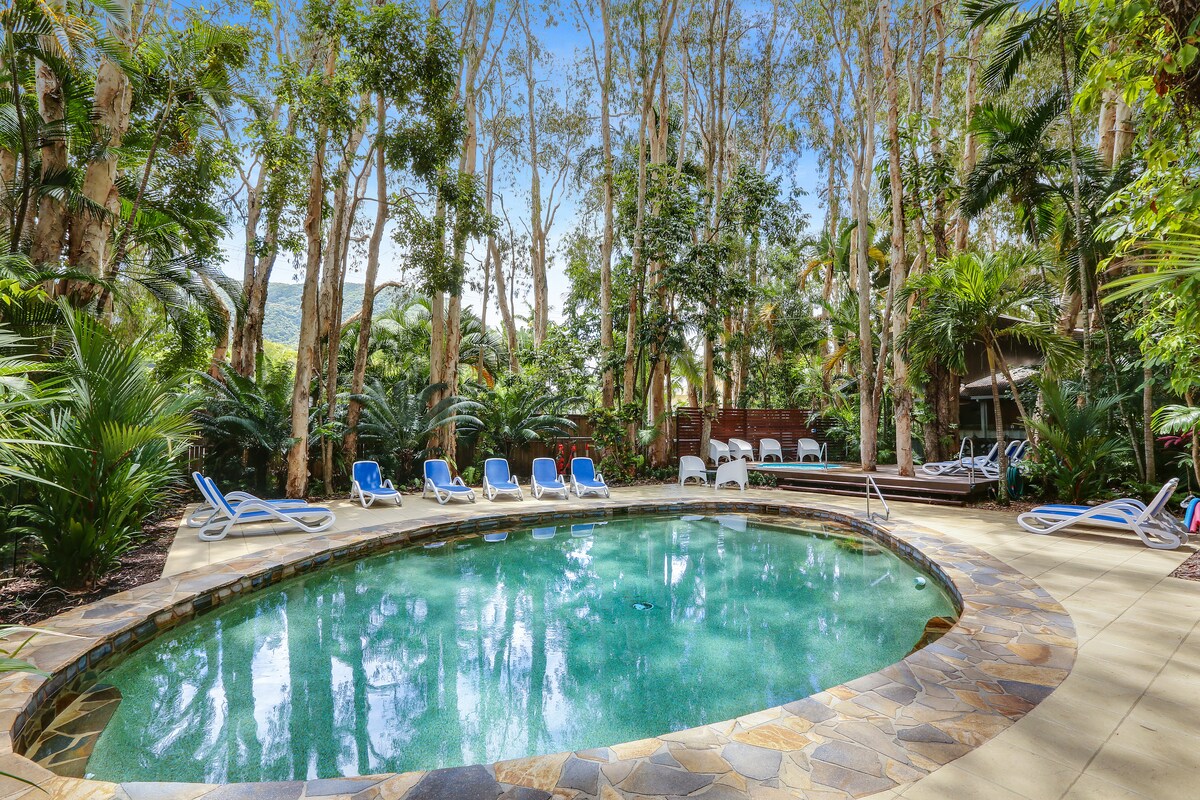 A circular heated salt-water pool is framed by natural stone tiles, surrounded by lush tropical vegetation. Lounge chairs are arranged around the pool area, offering spaces for relaxation. Towering paperbark trees provide a backdrop, enhancing the serene atmosphere of the rainforest setting.