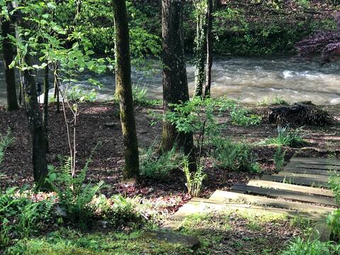 Creekside at Rutledge Falls