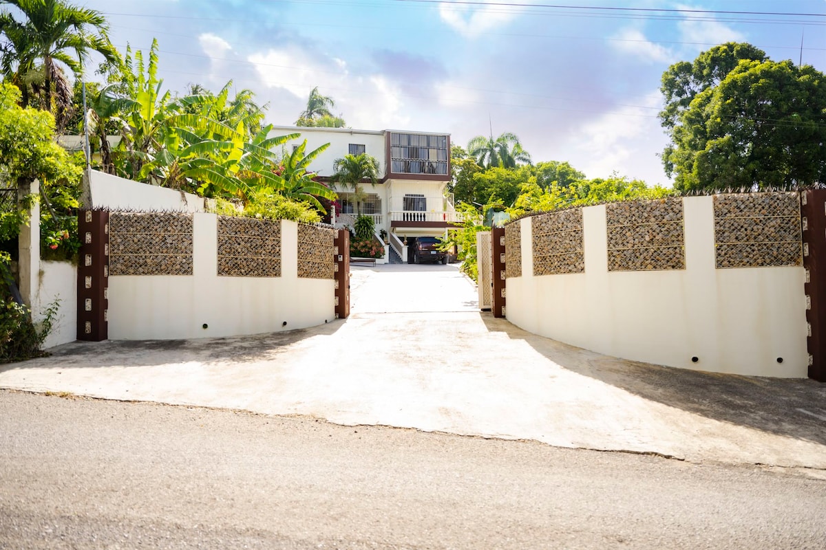 A wide gated entrance leads to a spacious driveway, flanked by lush greenery. The two-story house is visible in the background, framed by palm trees and other tropical plants under a partly cloudy sky.