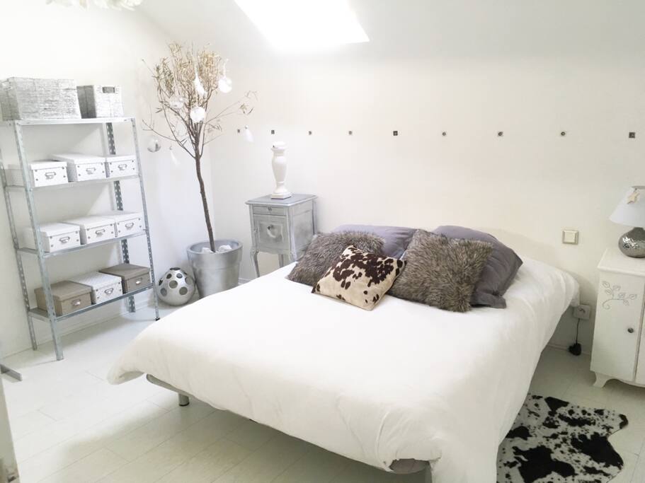 Chambre avec un lit double ,télé