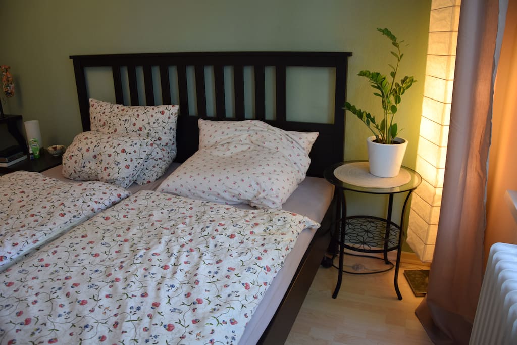 Large 2 m bed