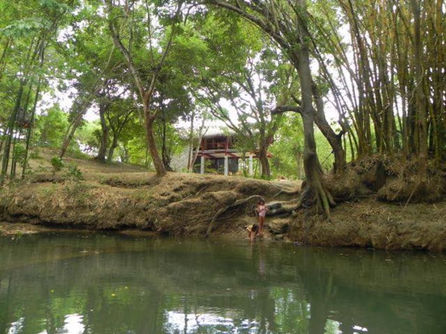 River view with giant bamboo