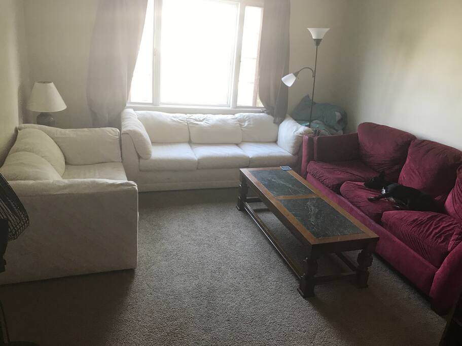 Living Room Area