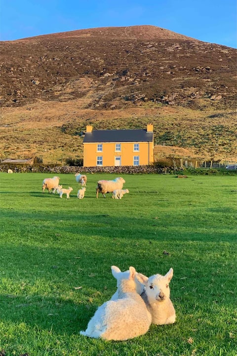 Bruach Na Háoine Locações por temporada e acomodações - County Kerry,  Irlanda | Airbnb