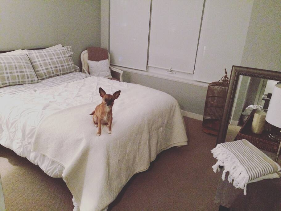 Spacious Bedroom