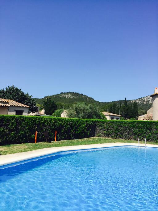 Piscina y zona ajardinada
