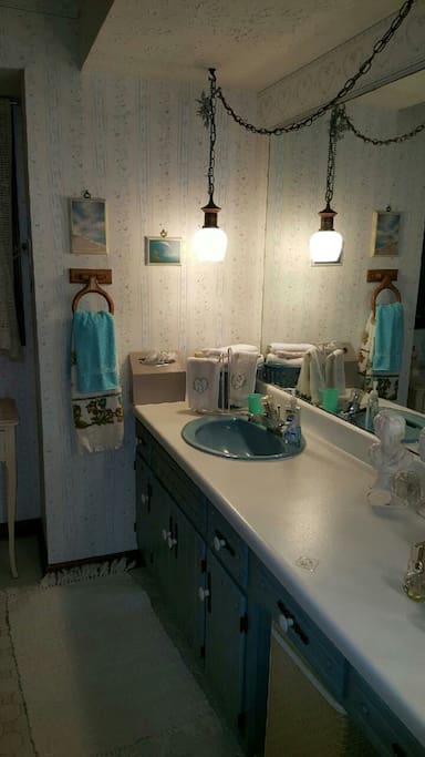 Very spacious guest bathroom with full shower and tub.
