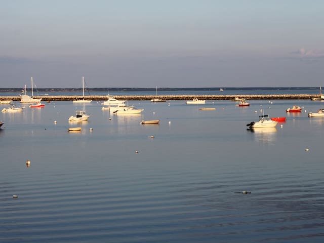 Beachfront Town Center