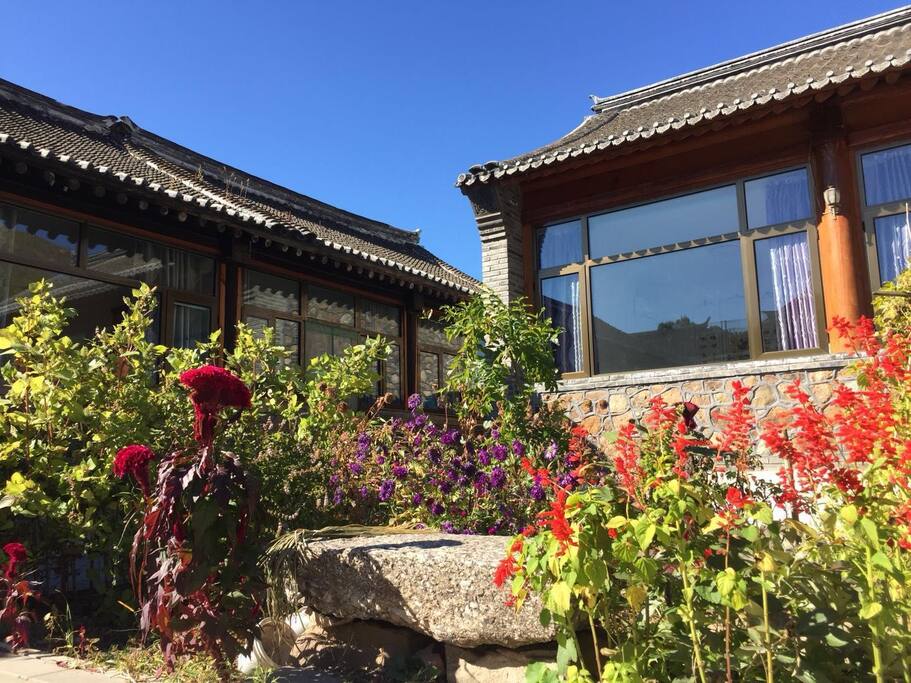 院中娇艳的花朵