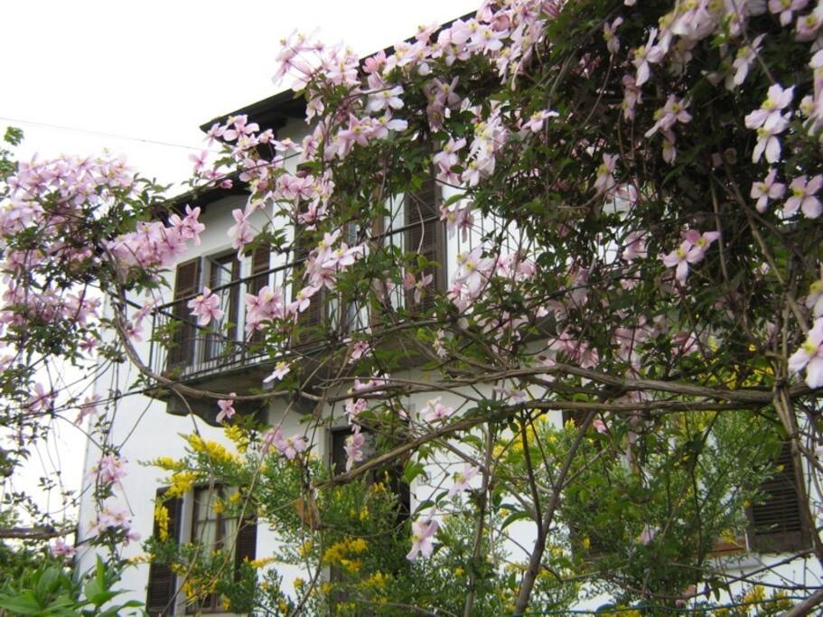 In primavera è così