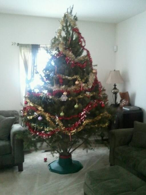 Just trying to show the living room. Only photo I had when registering. Updated photo to come.
