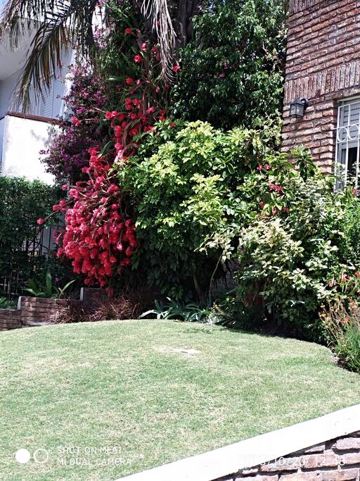Jardín al frente