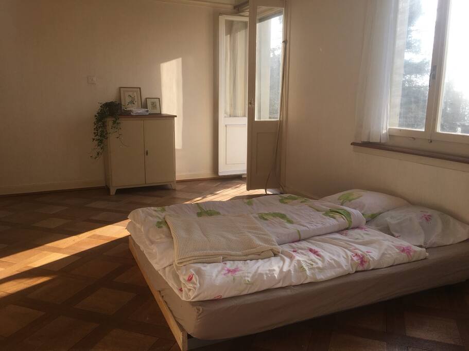 bed