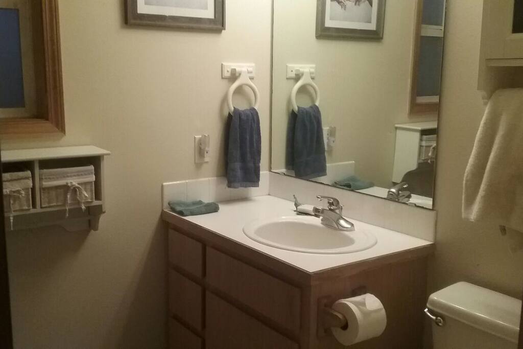 Guest bathroom downstairs